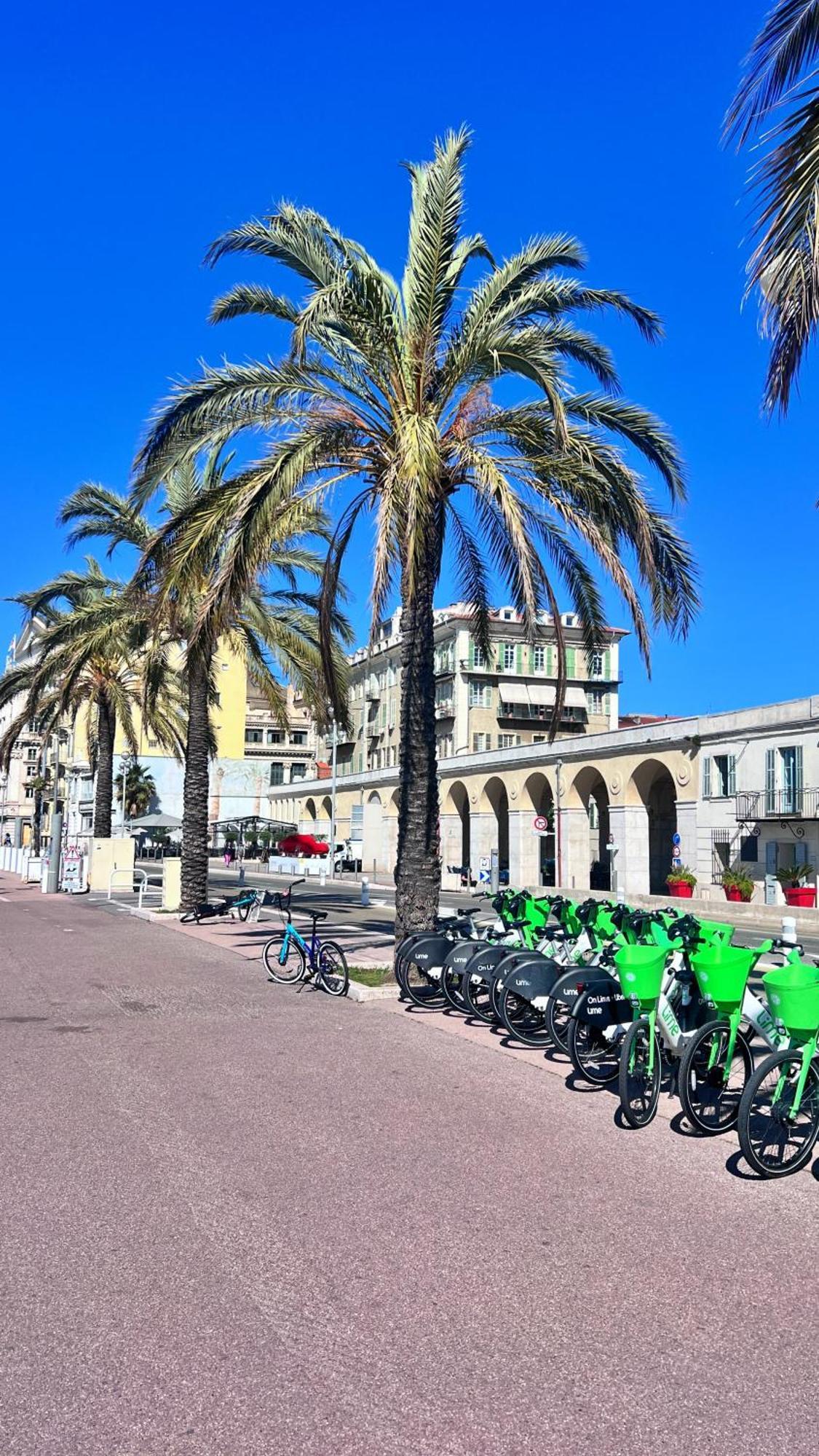 Ferienwohnung Le Mistral Nizza Exterior foto